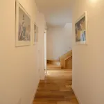 Lecasinedigio1 *
